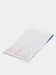 Багровый пропись каллиграф. КАЛЛИГРАФИЧЕСКОЕ НАПИСАНИЕ ЦИФР, БУКВ, СЛОГОВ