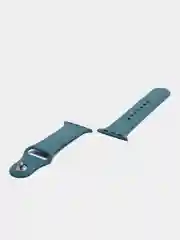 Зеленый силиконовый ремешок + защитная накладка со стеклом на корпус Apple Watch 38 mm