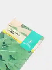 Рукола корсика(индау) (семена)