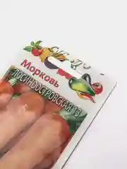 Морковь Лосиноостровская 13 (семена)