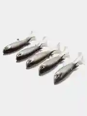Виброхвост SPRO