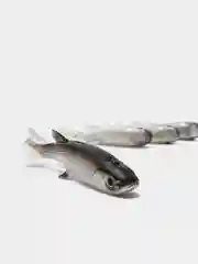 Виброхвост SPRO