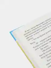 Книга для детей Приключения Васи Куролесова