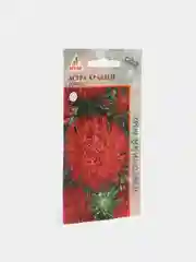 Астра Краллен "Соррель", семена цветов