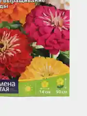 Цинния Супер Йога изящная, семена цветов