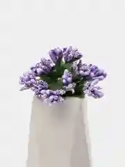 Фиолетовый букет тычинок, с сахарными вставками