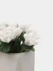 Белый букет тычинок, с сахарными вставками