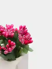 Вишнёвый букет тычинок, с сахарными вставками