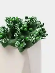 Зеленый букет тычинок, с сахарными вставками