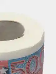 Багровый туалетная бумага,деньги,прикол