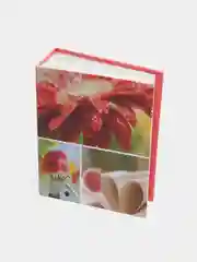 Розовый фотоальбом "Цветы", на 100 фото, 10 х 15, твёрдая обложка, 30 видов