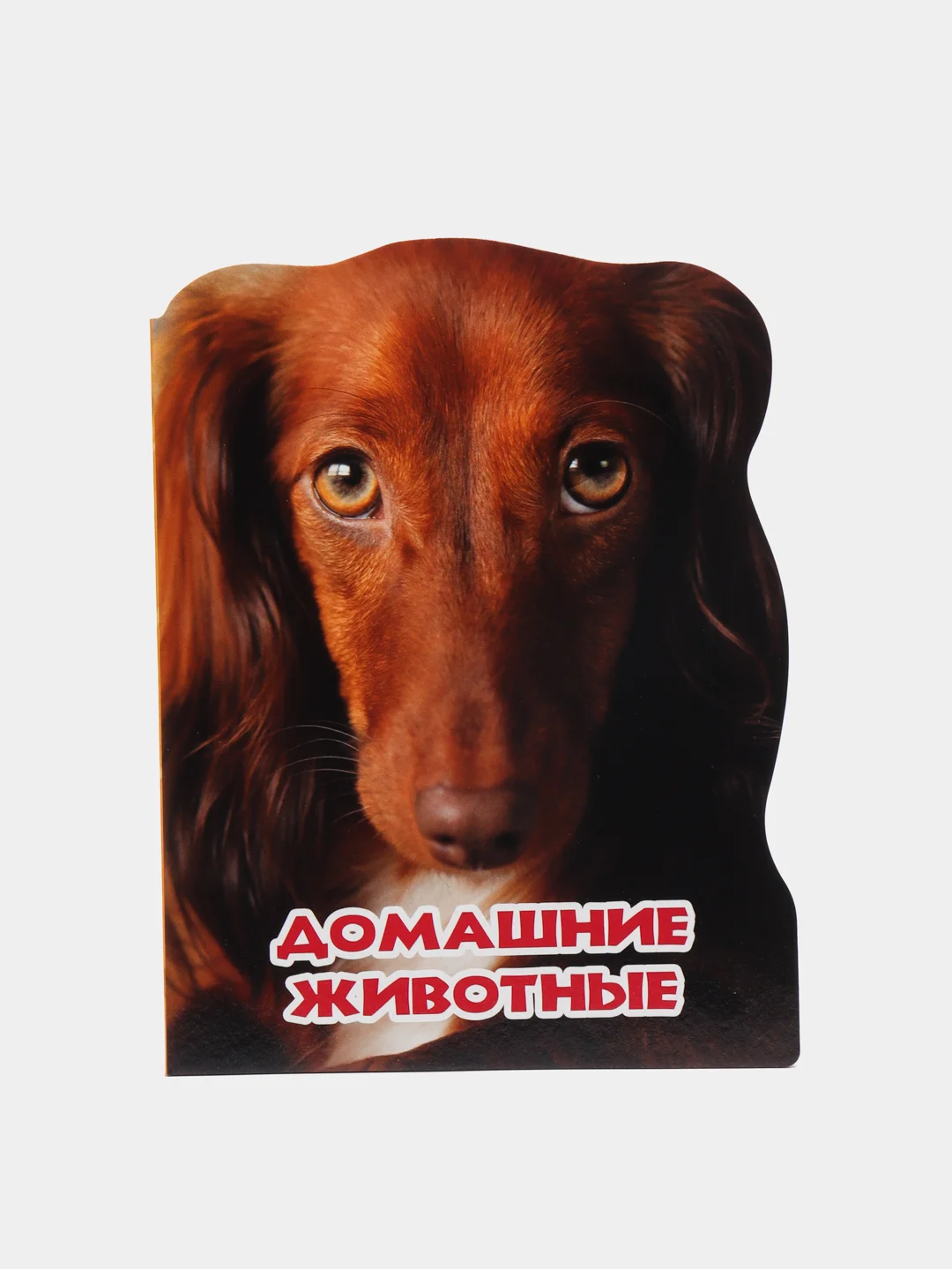 Коричневый книга/ Для детей/ Литература/Обучение/На ночь/Перед сном/Для малышей/Разивашки/Подарок