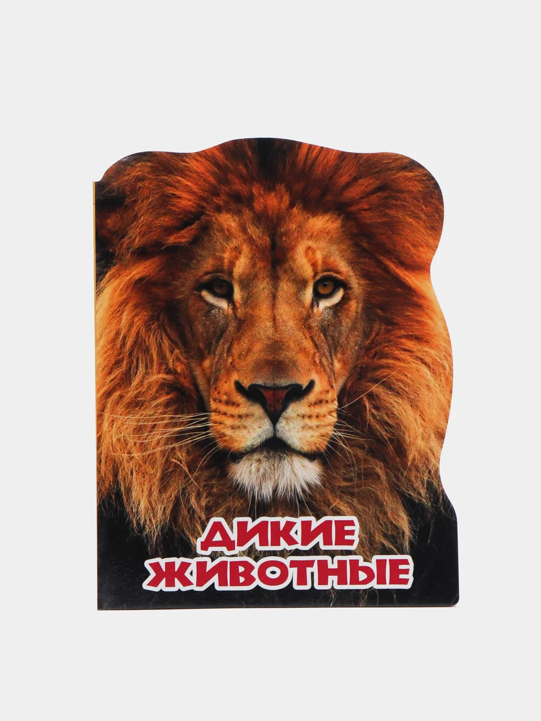 Карамельный книга/ Для детей/ Литература/Обучение/На ночь/Перед сном/Для малышей/Разивашки/Подарок
