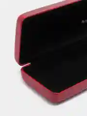 Багровый футляр для очков