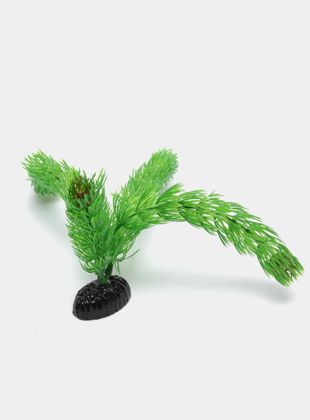 Растение для аквариума Plant 002 Амбулия зелёная