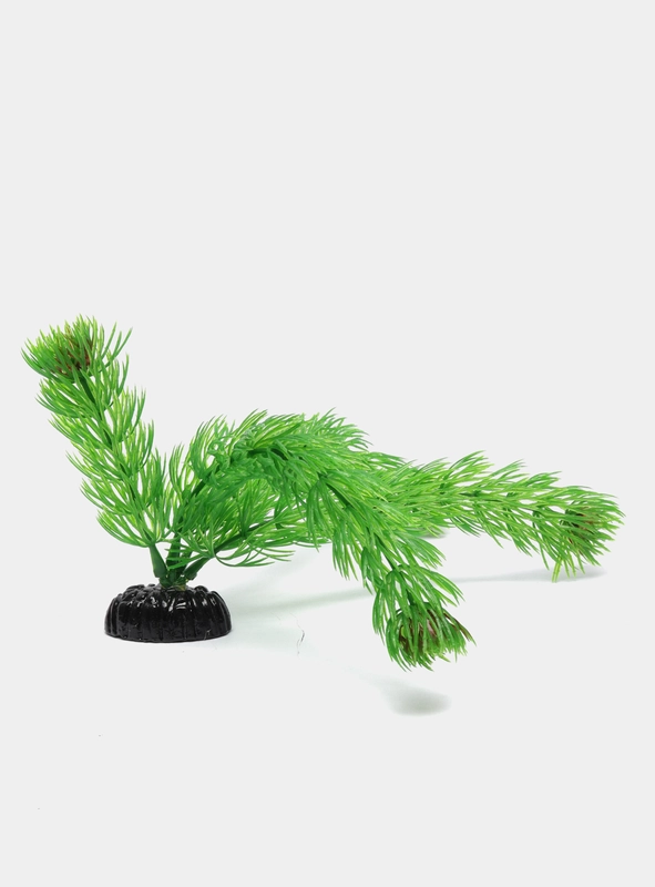Растение для аквариума Plant 002 Амбулия зелёная