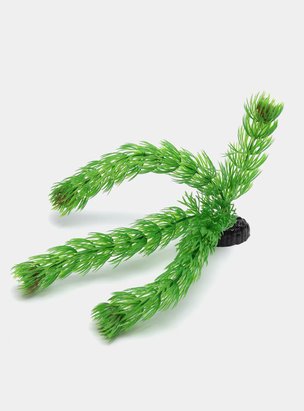 Растение для аквариума Plant 002 Амбулия зелёная