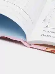 Бежевый дневник школьный универсальный