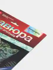 Серый гравюра Lori, 23,5*17,5 см