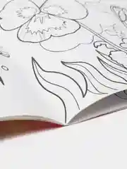 Тематические раскраски для детей, обучающие, 2+