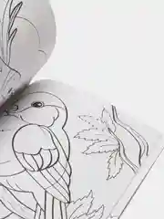 Тематические раскраски для детей, обучающие, 2+