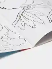 Тематические раскраски для детей, обучающие, 2+