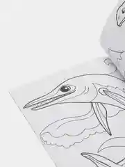 Тематические раскраски для детей, обучающие, 2+