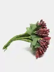 Бордовый тычинки с сахарными вставками 12 шт