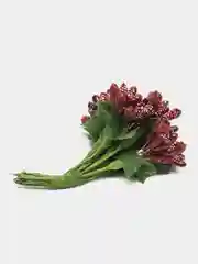 Бордовый тычинки с сахарными вставками 12 шт