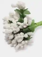 Белый тычинки сахарные для цветов