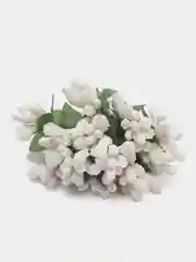 Белый тычинки сахарные для цветов