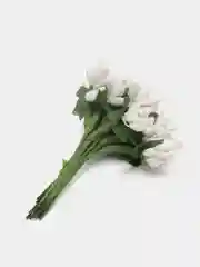 Белый тычинки сахарные для цветов