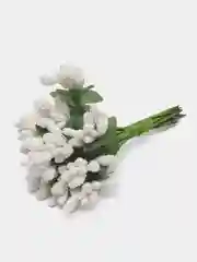 Белый тычинки сахарные для цветов