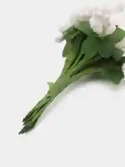 Белый тычинки сахарные для цветов