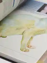 Кошки. Иллюстрированная энциклопедия