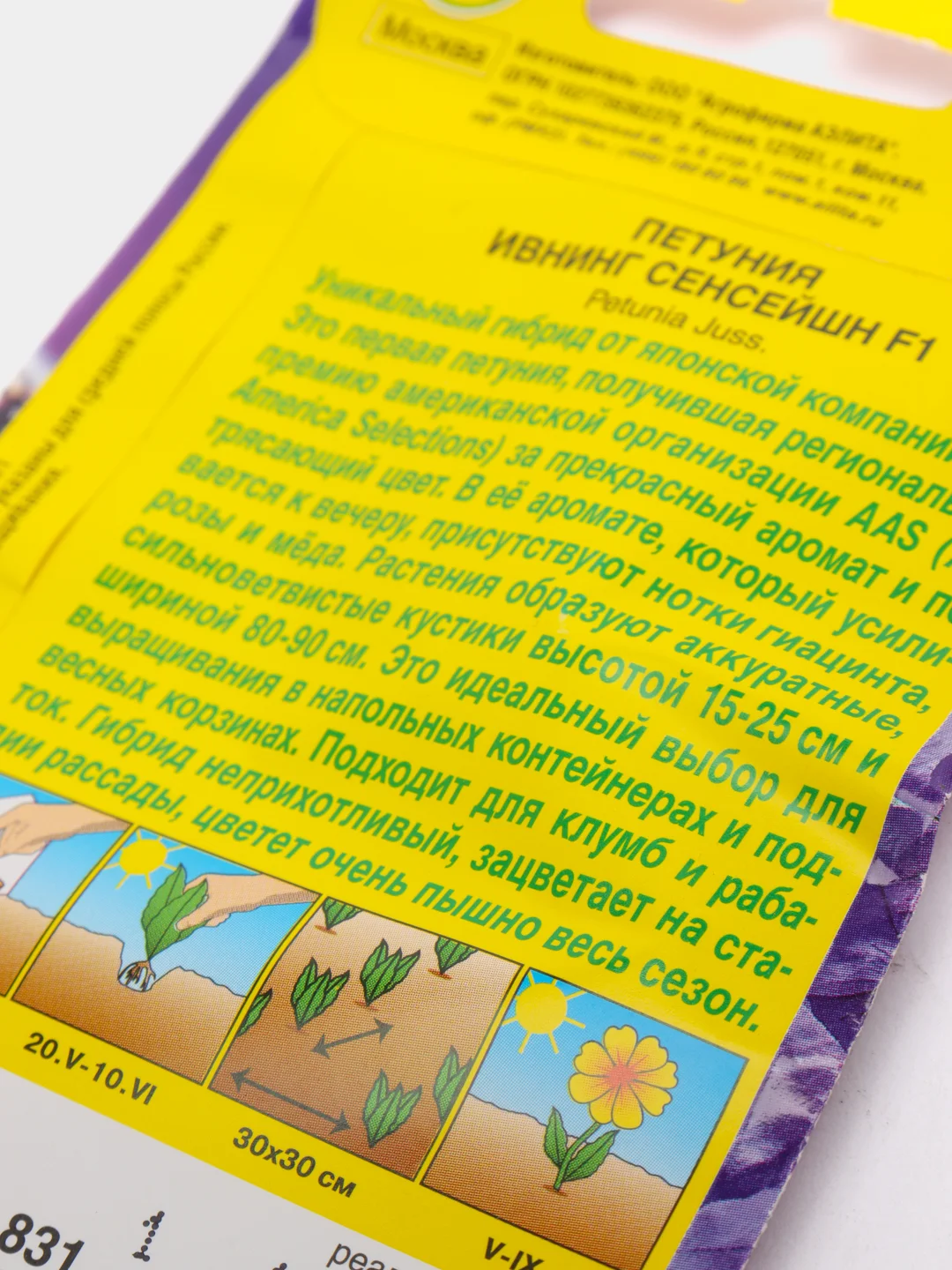 Петуния Ивнинг сенсейшн (семена,цветы)