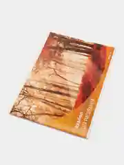 Желтый альбом для рисования