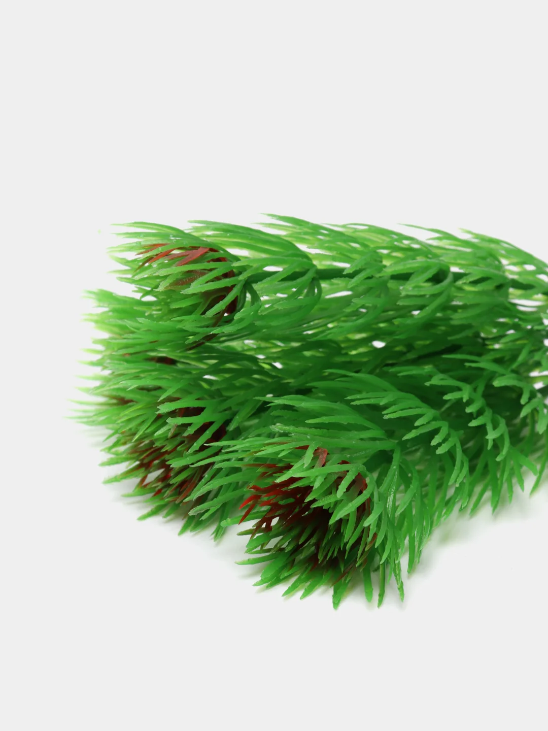 Растение для аквариума Plant 002 Амбулия зелёная