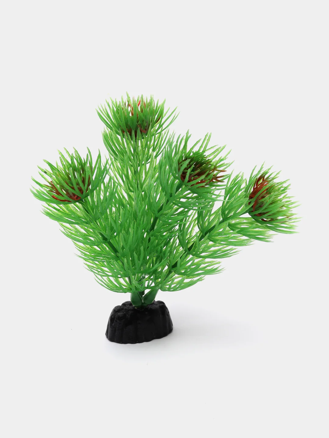 Растение для аквариума Plant 002 Амбулия зелёная