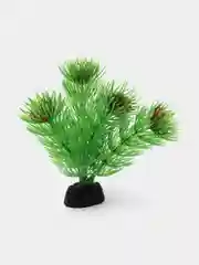 Растение для аквариума Plant 002 Амбулия зелёная