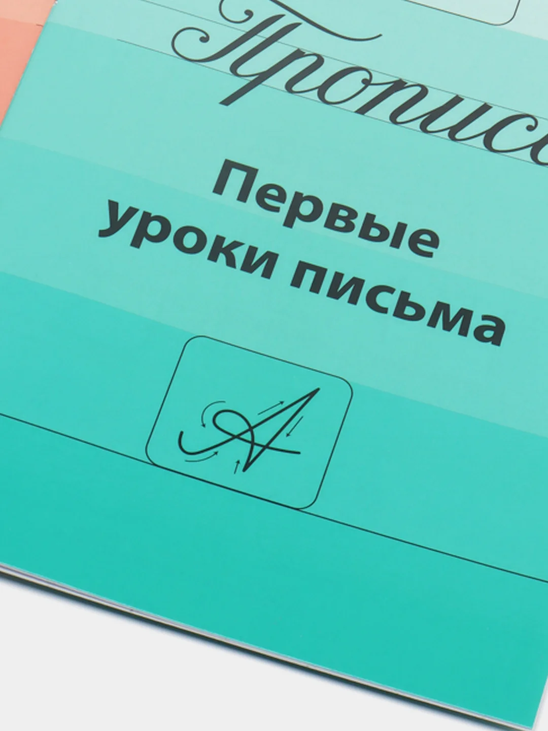 Алый прописи для подготовки к школе