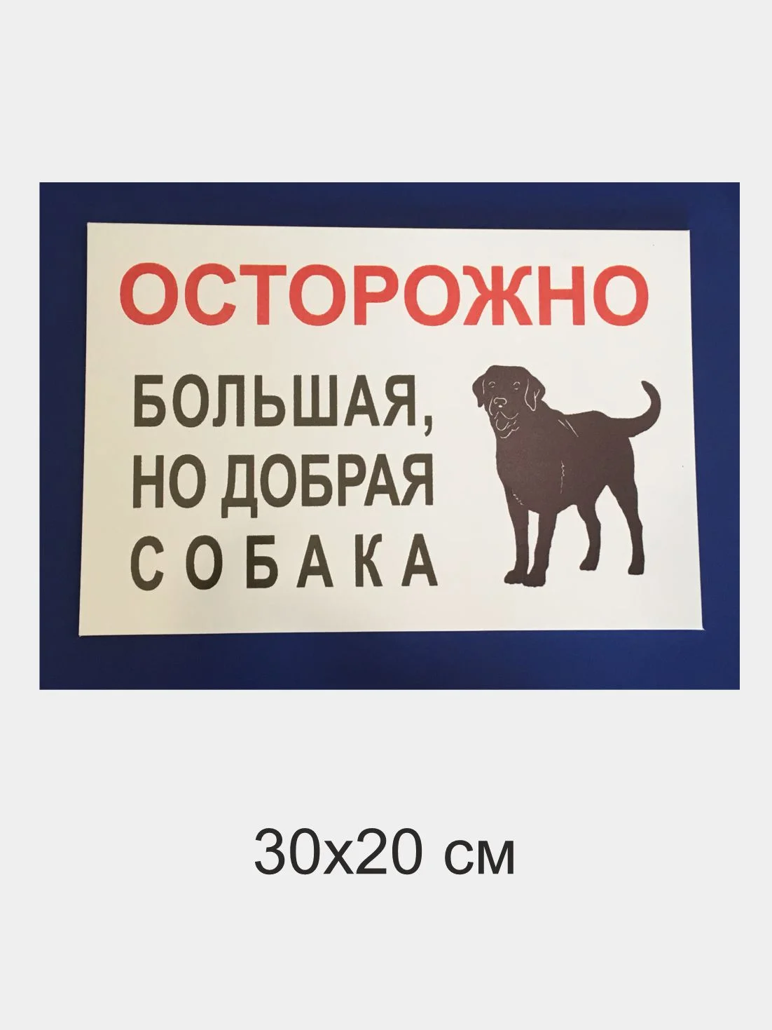 Красный таблички "Осторожно! Злая собака", " Ведется видеонаблюдение", "Посторонним вход запрещен"