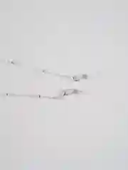 Серебряный цепочка для очков