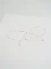 Серебряный цепочка для очков