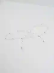 Серебряный цепочка для очков