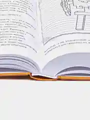 Дневник Стива, Омнибус 1, книги 1-5, Да начнутся приключения!