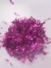 Фуксия воздушные шары
