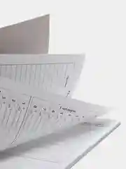 Дневник школьный