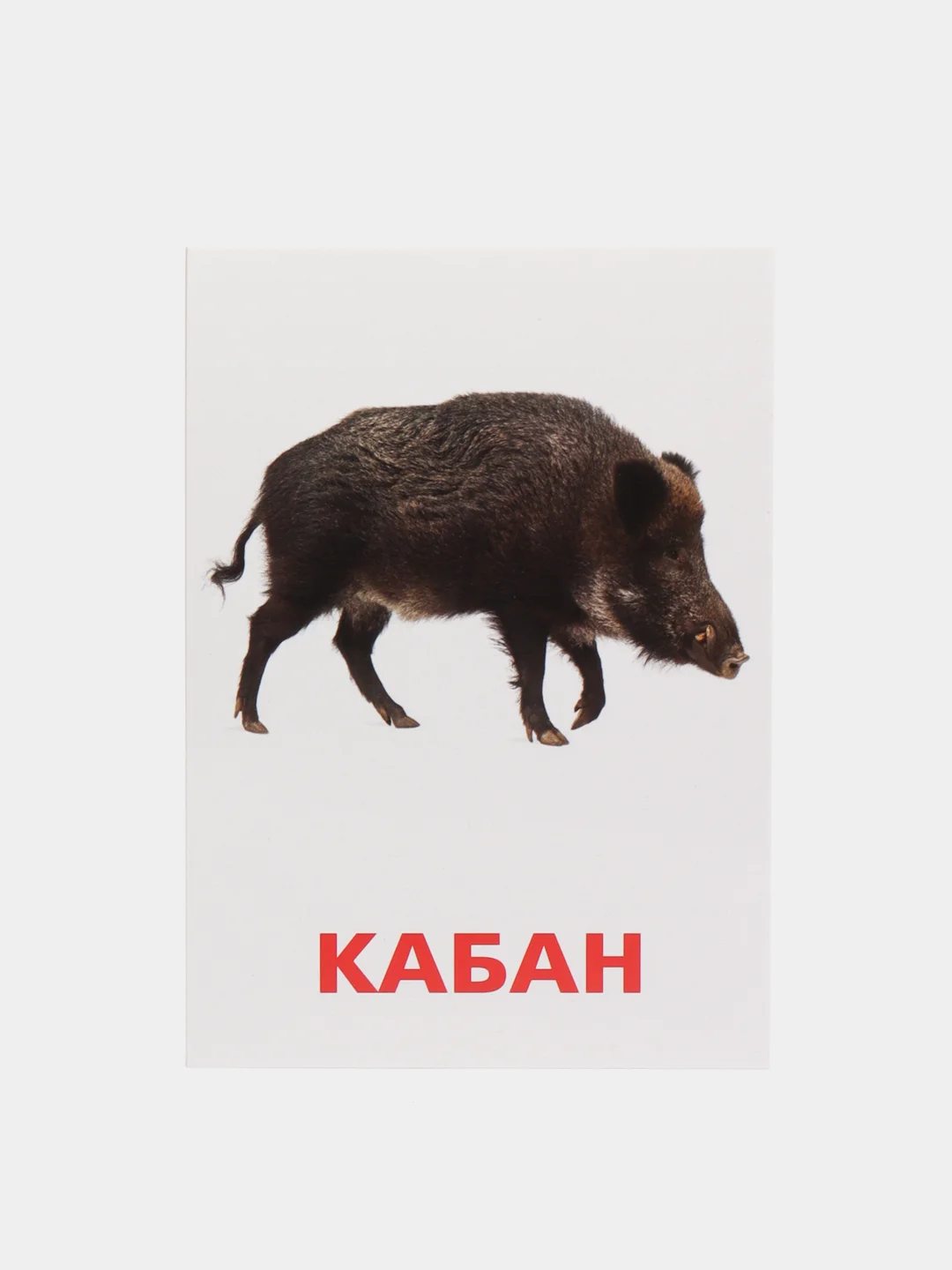 Салатовый развивающие карточки по методике Г. Домана для детей, 12 карт, А6, 3+