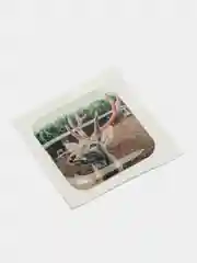3D наклейки на телефон